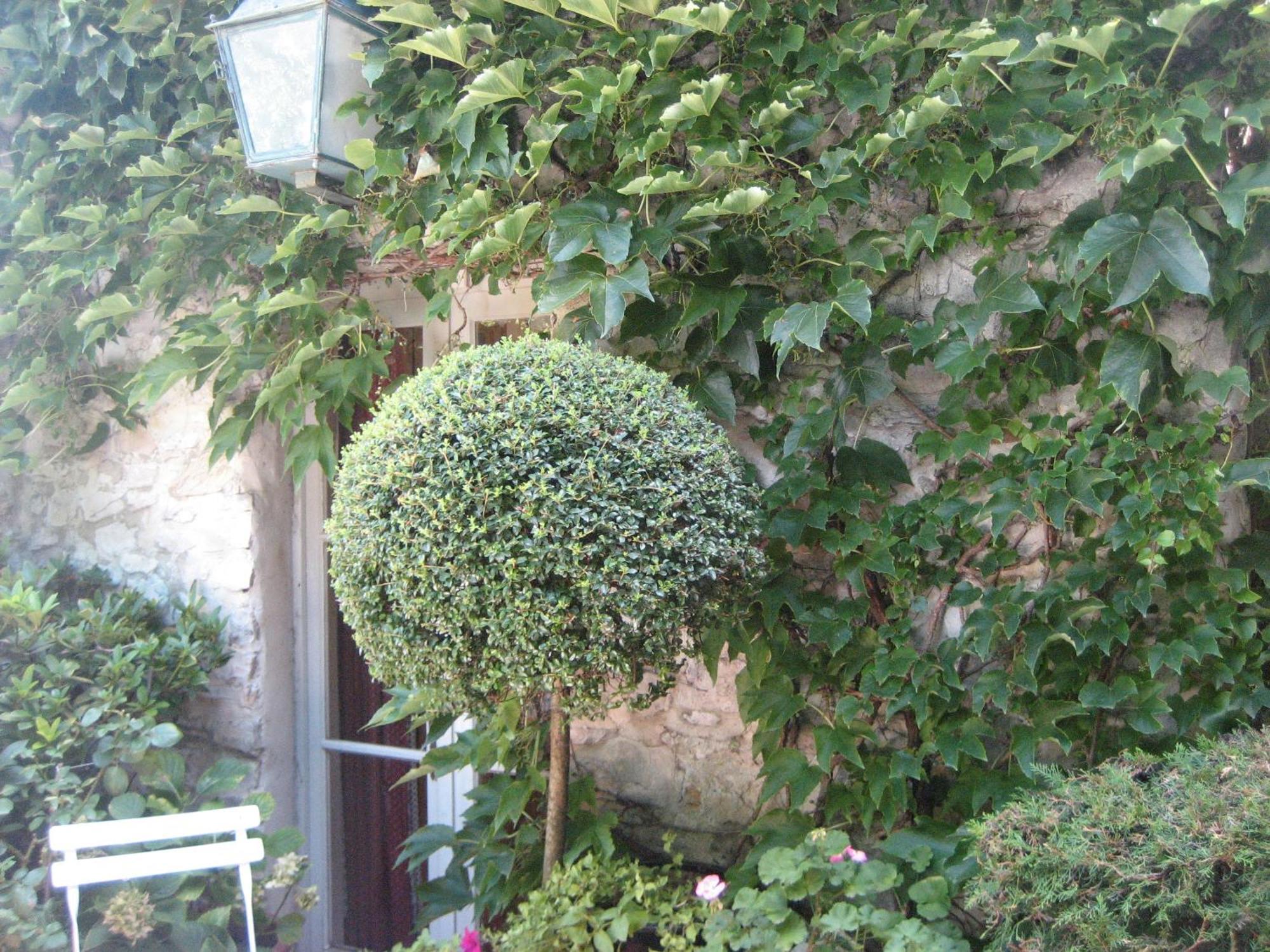 Maison D'Hotes De L'Eveche Vaison-la-Romaine Exterior foto
