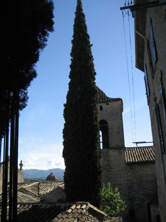 Maison D'Hotes De L'Eveche Vaison-la-Romaine Exterior foto